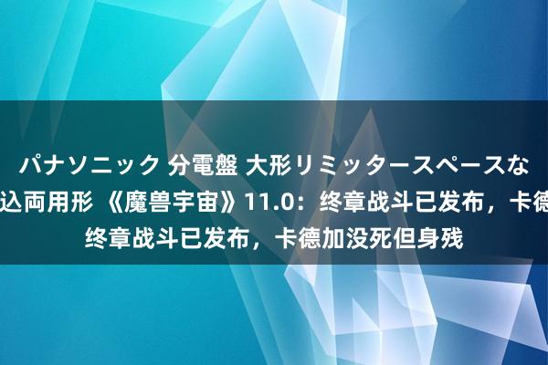 パナソニック 分電盤 大形リミッタースペースなし 露出・半埋込両用形 《魔兽宇宙》11.0：终章战斗已发布，卡德加没死但身残