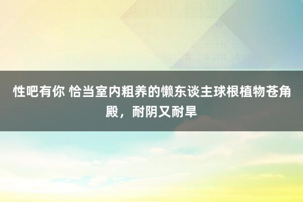 性吧有你 恰当室内粗养的懒东谈主球根植物苍角殿，耐阴又耐旱