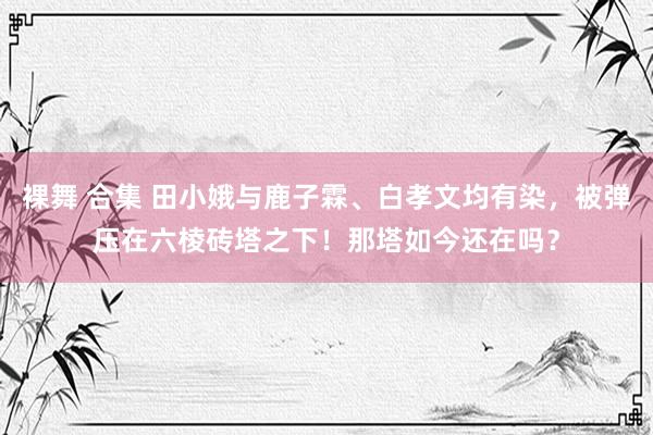 裸舞 合集 田小娥与鹿子霖、白孝文均有染，被弹压在六棱砖塔之下！那塔如今还在吗？