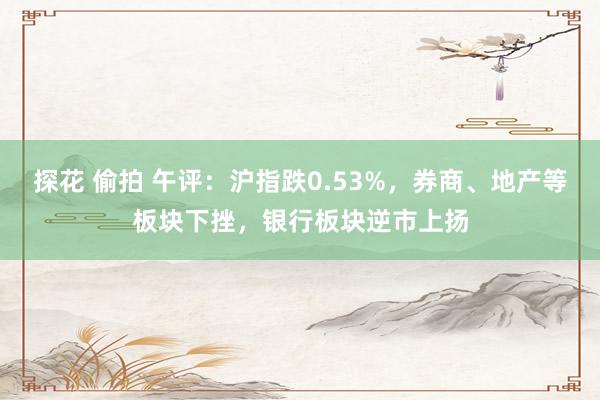 探花 偷拍 午评：沪指跌0.53%，券商、地产等板块下挫，银行板块逆市上扬