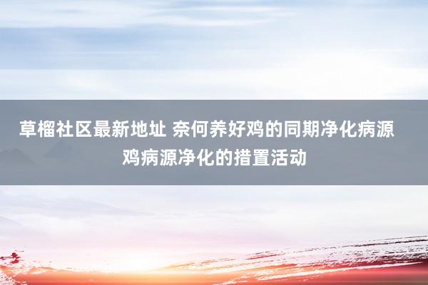 草榴社区最新地址 奈何养好鸡的同期净化病源   鸡病源净化的措置活动