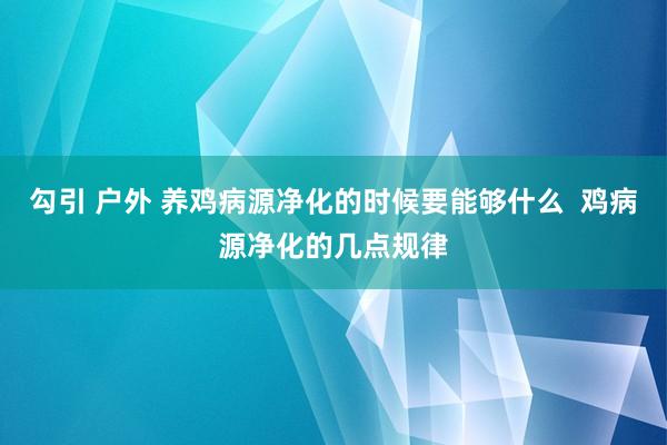 勾引 户外 养鸡病源净化的时候要能够什么  鸡病源净化的几点规律