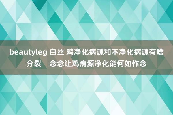 beautyleg 白丝 鸡净化病源和不净化病源有啥分裂    念念让鸡病源净化能何如作念