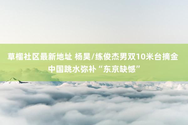 草榴社区最新地址 杨昊/练俊杰男双10米台摘金 中国跳水弥补“东京缺憾”