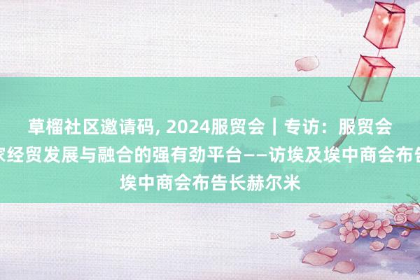 草榴社区邀请码， 2024服贸会｜专访：服贸会是鞭策大家经贸发展与融合的强有劲平台——访埃及埃中商会布告长赫尔米