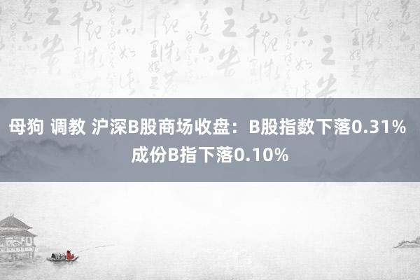 母狗 调教 沪深B股商场收盘：B股指数下落0.31% 成份B指下落0.10%