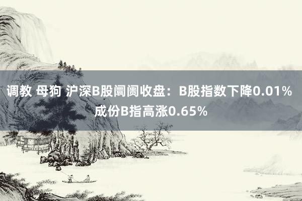 调教 母狗 沪深B股阛阓收盘：B股指数下降0.01% 成份B指高涨0.65%