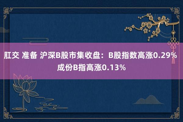 肛交 准备 沪深B股市集收盘：B股指数高涨0.29% 成份B指高涨0.13%