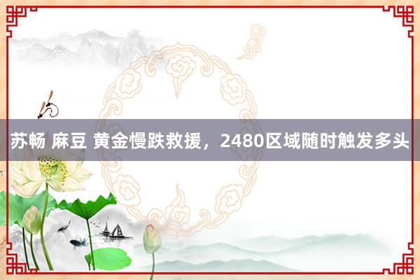 苏畅 麻豆 黄金慢跌救援，2480区域随时触发多头