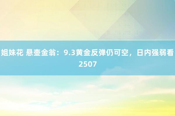 姐妹花 悬壶金翁：9.3黄金反弹仍可空，日内强弱看2507