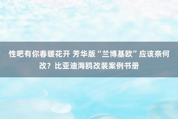 性吧有你春暖花开 芳华版“兰博基欧”应该奈何改？比亚迪海鸥改装案例书册