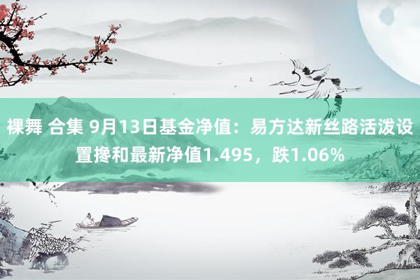 裸舞 合集 9月13日基金净值：易方达新丝路活泼设置搀和最新净值1.495，跌1.06%