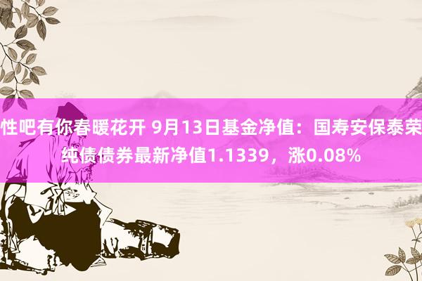 性吧有你春暖花开 9月13日基金净值：国寿安保泰荣纯债债券最新净值1.1339，涨0.08%