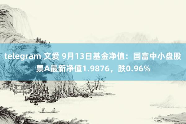 telegram 文爱 9月13日基金净值：国富中小盘股票A最新净值1.9876，跌0.96%