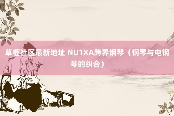 草榴社区最新地址 NU1XA跨界钢琴（钢琴与电钢琴的纠合）