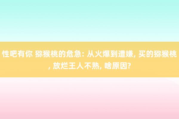 性吧有你 猕猴桃的危急: 从火爆到遭嫌, 买的猕猴桃, 放烂王人不熟, 啥原因?