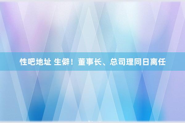 性吧地址 生僻！董事长、总司理同日离任