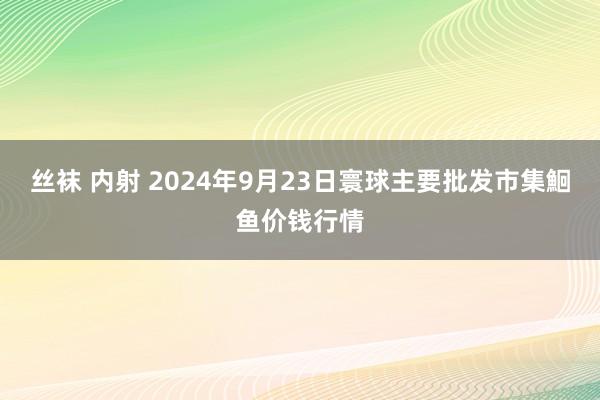 丝袜 内射 2024年9月23日寰球主要批发市集鮰鱼价钱行情