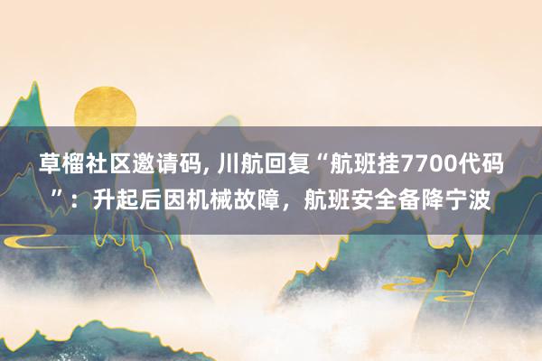 草榴社区邀请码, 川航回复“航班挂7700代码”：升起后因机械故障，航班安全备降宁波