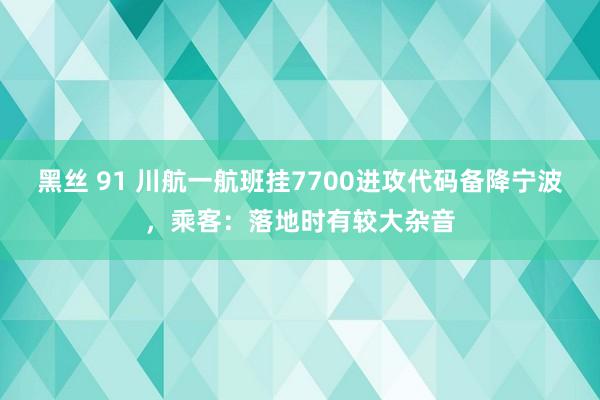 黑丝 91 川航一航班挂7700进攻代码备降宁波，乘客：落地时有较大杂音