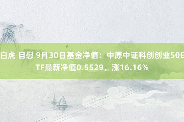 白虎 自慰 9月30日基金净值：中原中证科创创业50ETF最新净值0.5529，涨16.16%