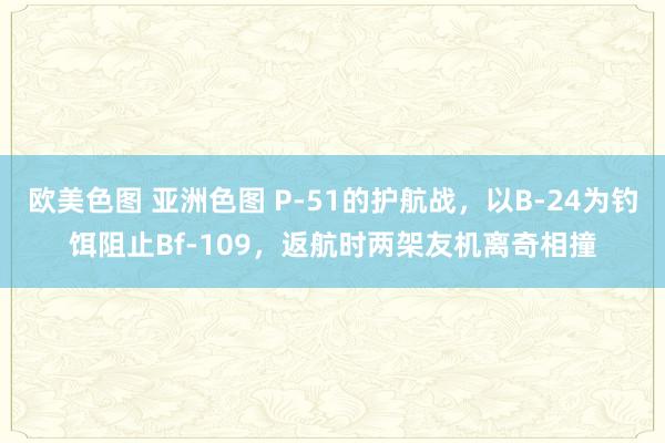 欧美色图 亚洲色图 P-51的护航战，以B-24为钓饵阻止Bf-109，返航时两架友机离奇相撞