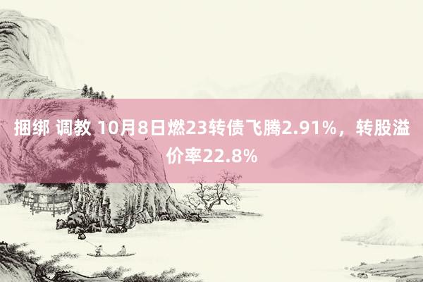 捆绑 调教 10月8日燃23转债飞腾2.91%，转股溢价率22.8%