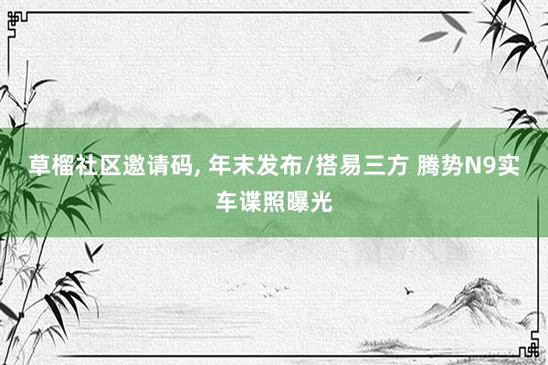 草榴社区邀请码, 年末发布/搭易三方 腾势N9实车谍照曝光