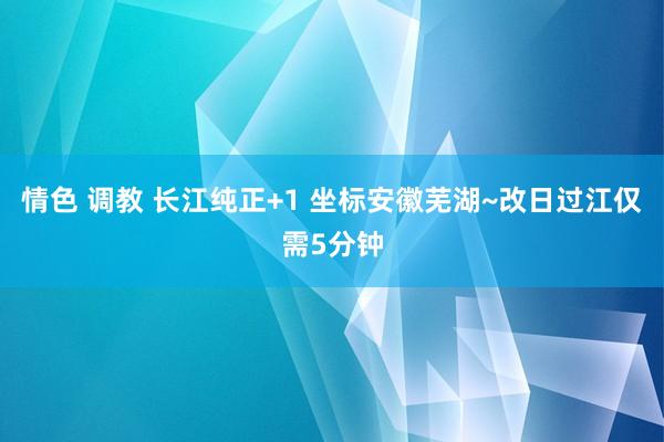 情色 调教 长江纯正+1 坐标安徽芜湖~改日过江仅需5分钟