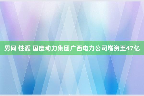 男同 性愛 国度动力集团广西电力公司增资至47亿