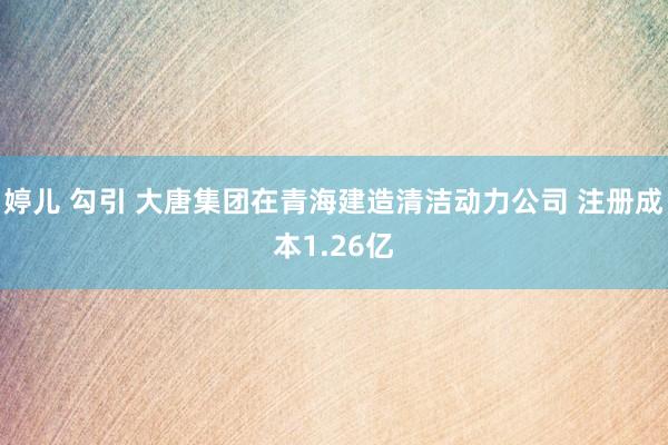 婷儿 勾引 大唐集团在青海建造清洁动力公司 注册成本1.26亿