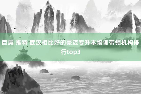 巨屌 推特 武汉相比好的豪迈专升本培训带领机构排行top3