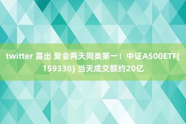 twitter 露出 聚会两天同类第一！中证A500ETF(159338) 当天成交额约20亿