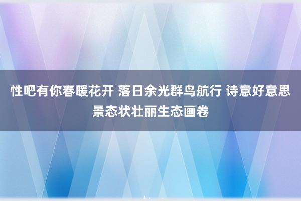 性吧有你春暖花开 落日余光群鸟航行 诗意好意思景态状壮丽生态画卷