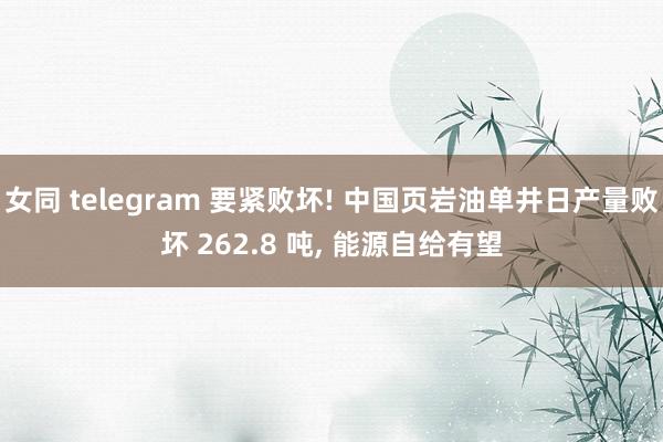 女同 telegram 要紧败坏! 中国页岩油单井日产量败坏 262.8 吨, 能源自给有望