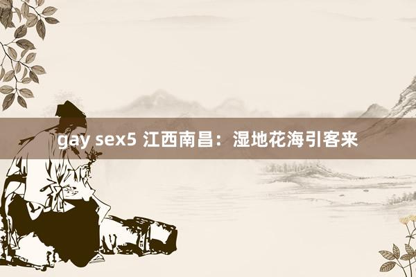 gay sex5 江西南昌：湿地花海引客来