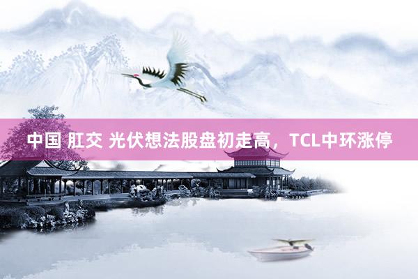 中国 肛交 光伏想法股盘初走高，TCL中环涨停