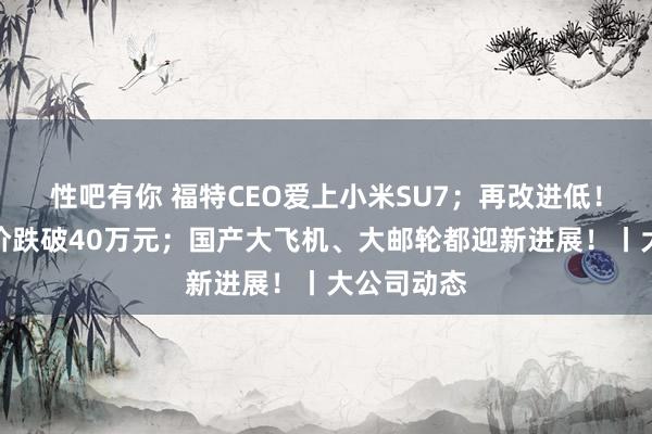 性吧有你 福特CEO爱上小米SU7；再改进低！保时捷售价跌破40万元；国产大飞机、大邮轮都迎新进展！丨大公司动态