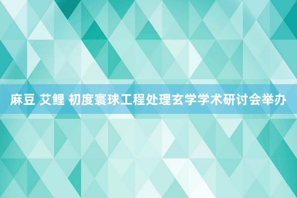 麻豆 艾鲤 初度寰球工程处理玄学学术研讨会举办