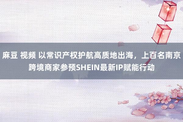 麻豆 视频 以常识产权护航高质地出海，上百名南京跨境商家参预SHEIN最新IP赋能行动