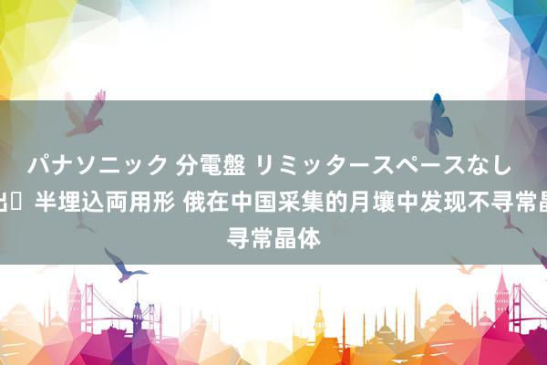 パナソニック 分電盤 リミッタースペースなし 露出・半埋込両用形 俄在中国采集的月壤中发现不寻常晶体