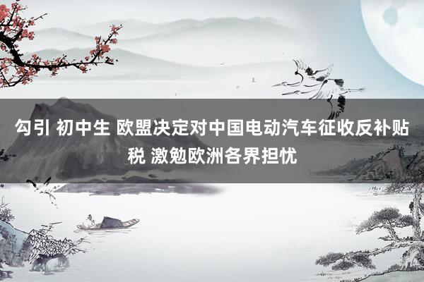 勾引 初中生 欧盟决定对中国电动汽车征收反补贴税 激勉欧洲各界担忧