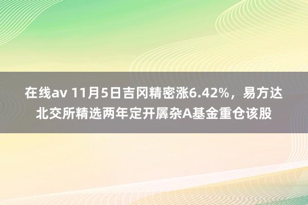 在线av 11月5日吉冈精密涨6.42%，易方达北交所精选两年定开羼杂A基金重仓该股