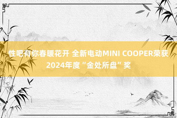 性吧有你春暖花开 全新电动MINI COOPER荣获2024年度“金处所盘”奖