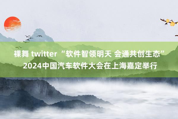 裸舞 twitter “软件智领明天 会通共创生态” 2024中国汽车软件大会在上海嘉定举行