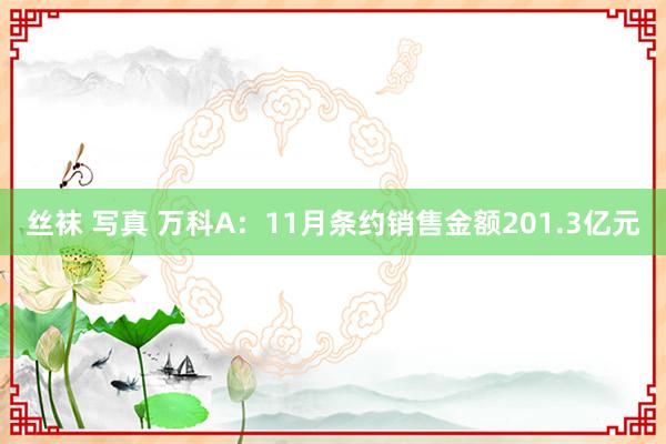 丝袜 写真 万科A：11月条约销售金额201.3亿元