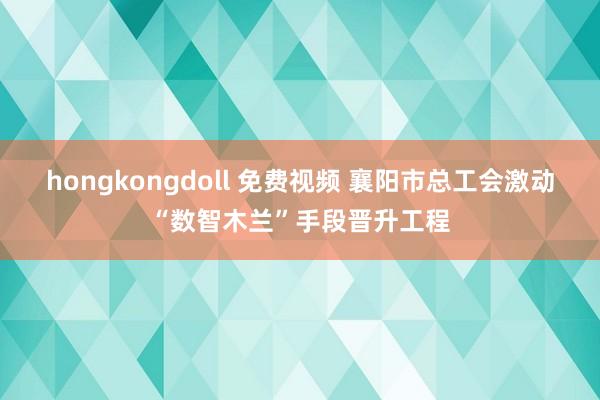 hongkongdoll 免费视频 襄阳市总工会激动“数智木兰”手段晋升工程