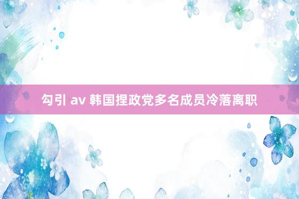 勾引 av 韩国捏政党多名成员冷落离职