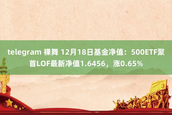 telegram 裸舞 12月18日基金净值：500ETF聚首LOF最新净值1.6456，涨0.65%