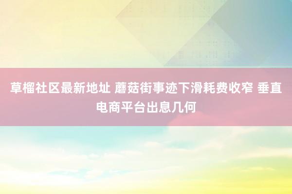 草榴社区最新地址 蘑菇街事迹下滑耗费收窄 垂直电商平台出息几何